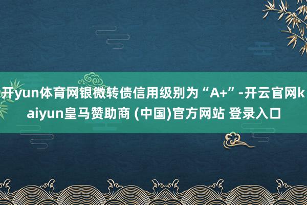 开yun体育网银微转债信用级别为“A+”-开云官网kaiyun皇马赞助商 (中国)官方网站 登录入口