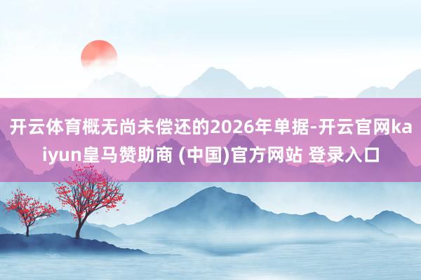 开云体育概无尚未偿还的2026年单据-开云官网kaiyun皇马赞助商 (中国)官方网站 登录入口